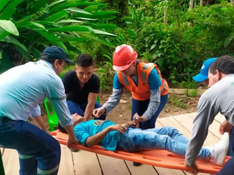 Servicio Instrumentos de gestión ambiental (1)