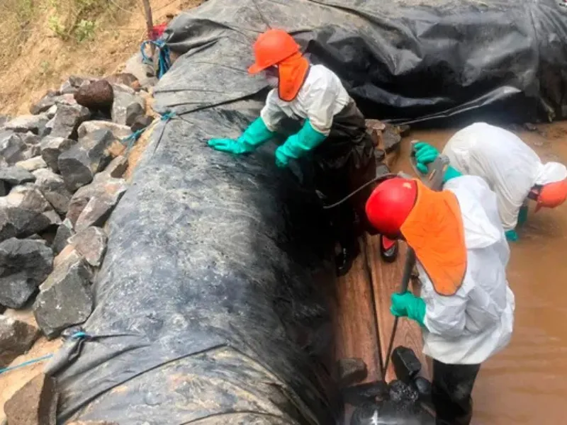 Servicio de Emergencias Ambientales (2)