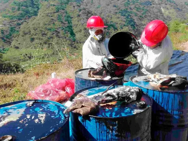 Servicio de Emergencias Ambientales (5)