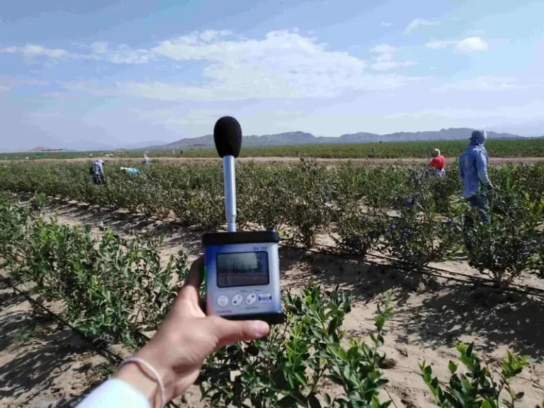 Servicio monitoreo ocupacional (3)